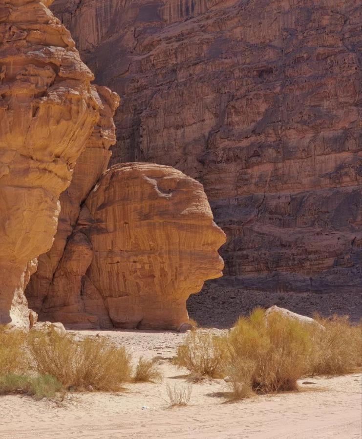 Star Rum Wadi Rum Exteriér fotografie